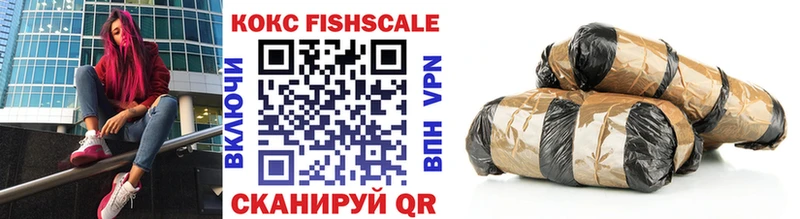 как найти наркотики  Ярцево  hydra рабочий сайт  Cocaine Fish Scale 