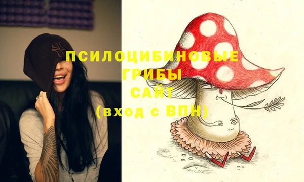 стафф Армянск
