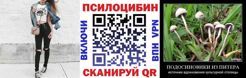Псилоцибиновые грибы Magic Shrooms  Ярцево 